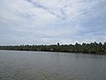 Photos taken from a boat ride along the Kavvayi backwaters, Payyannur, Kannur (75).jpg