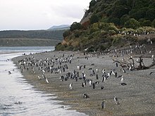 ushuaia argentina travel