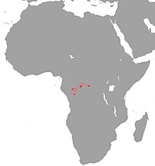 Polypterus mokelembembe Map.jpg