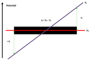 BPE potential gradient Presentation v37.png