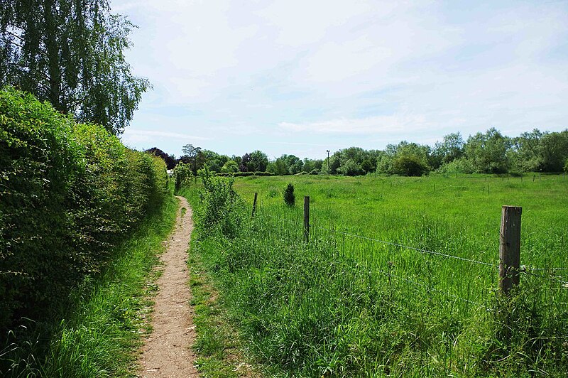 File:Public footpath and field, Bampton, Oxon - geograph.org.uk - 6171868.jpg