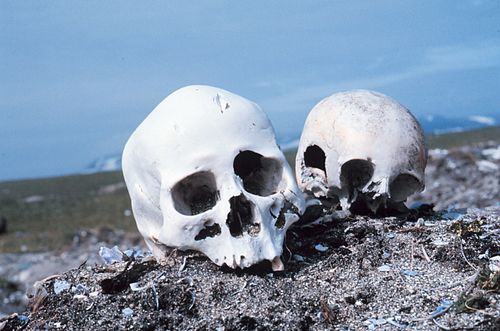 Punuk.Alaska.skulls.jpg