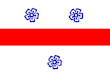 Miercurea-Ciuc – vlajka