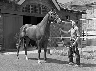 <span class="mw-page-title-main">Randwick Guineas</span> Horse race