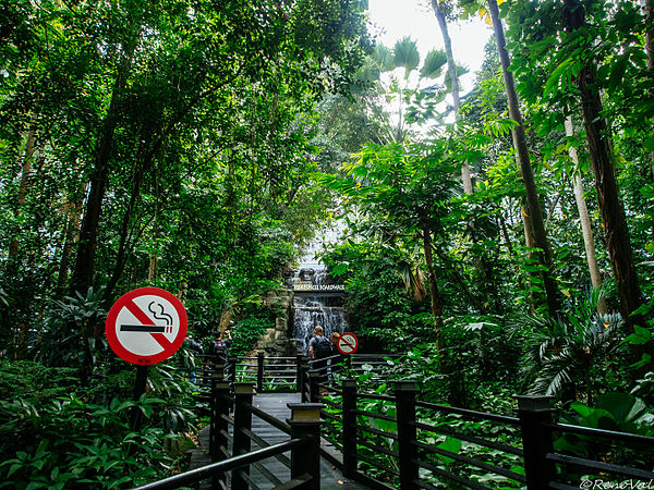 Jungle trail inside KLIA Airport