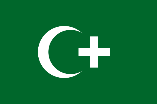 Onofficiële vlag tijdens de revolutie van 1919