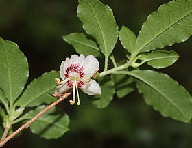 八曽山（愛知県犬山市）にて