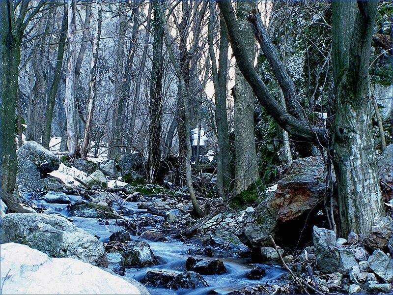 File:Riava v modrom - Race in blue - panoramio.jpg