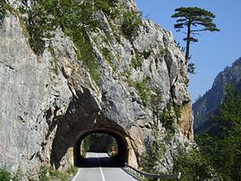 Route monténégrine sur le versant du canyon de la Tara, gorges incluses dans le parc national de Durmitor. (définition réelle 2 592 × 1 944)