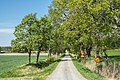 Chemin du manoir d'Attu.