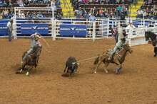 Rodeo (the state sport) in Austin Rodeo competition at the Star of Texas Fair and Rodeo, produced by Rodeo Austin in Austin, Texas LCCN2015630182.tif