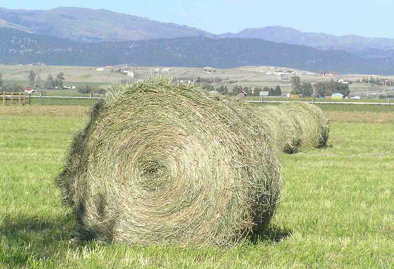 Straw in double compressed small bales for bedding