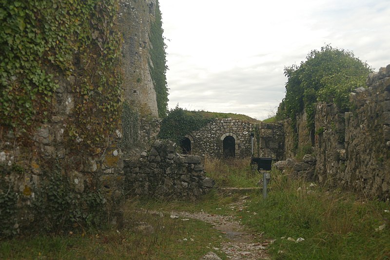 File:Rozafa Castle Moss.jpg