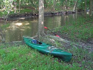 Kayak