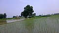 Rupnagar, Punjab, India - panoramio (16).jpg
