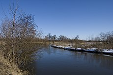 Rzeka Wieprz w okolicach Milejowa, Polska, 2.jpg