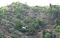 SRI CENTRAYA PERUMAL TEMPLE ( KOOSA MALAI ), SALEM - panoramio (3).jpg