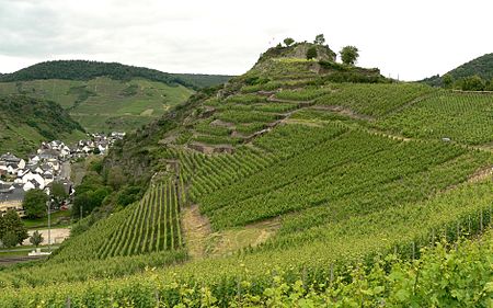 Saffenburg auf Berg Panorama