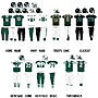 Thumbnail for Saskatchewan Huskies football