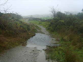 The Scout Beck