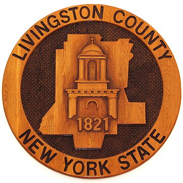 Comitatul Livingston