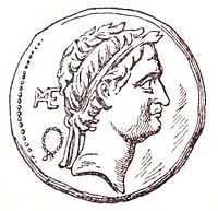 SeleucusIV - coin - face.JPG