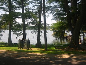 Shaded area at Lake Bruin Park IMG 1254.JPG