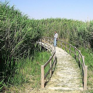 Shaumari Wildlife Reserve