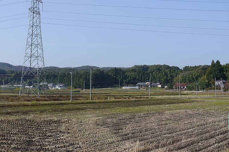 File:Shiote Rice Field after cropping in 2011-11.jpg