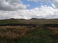 Thumbnail for File:Skipton Moor from the head of Jenny Gill - geograph.org.uk - 3466687.jpg