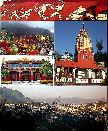 Solan collage.jpg