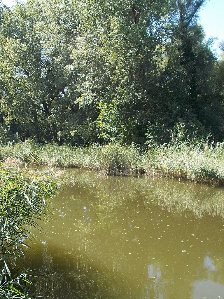 dunaharaszti duna sétány makó