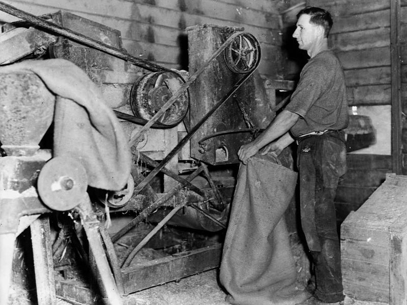 File:StateLibQld 1 197387 Labourer filling a sack of agricultural machinery, ca. 1935.jpg