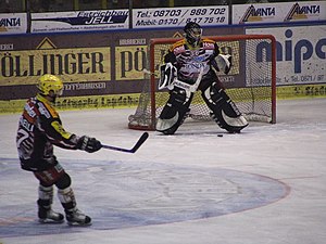 Ev Landshut: Geschichte, Erfolge, Mannschaft