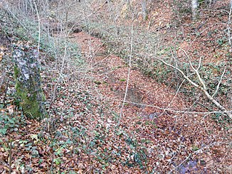 The stream at the exit of the Steintobel