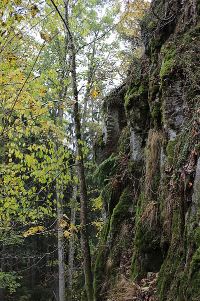 File:Stožec (okres Prachatice) (011).jpg