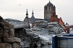 Ozeaneum Stralsund: Ausstellungen, Aquarien, Gebäude