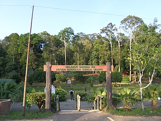 Sungai Udang Recreational Forest Forest in Central Melaka, Melaka, Malaysia