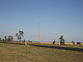 SWER Power Line near Emerald, Queensland