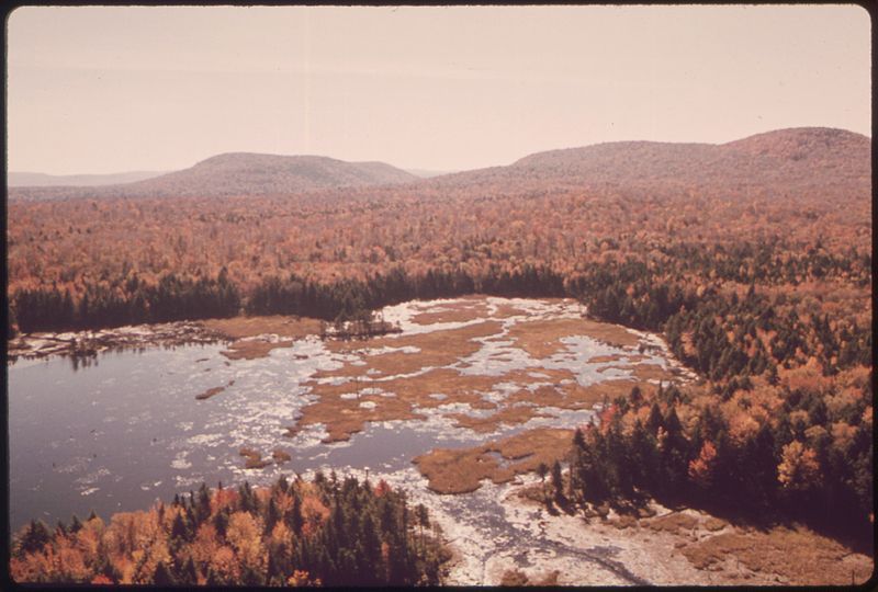 File:TYPICAL MEANDERING INLET TO A LAKE WITH ADJOINING BALSAM FLATS AND MARSH-BOG - NARA - 554713.jpg