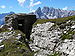 Piz Popena, Monte Cristallo