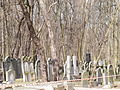 Miniatuur voor Bestand:The Jewish Cemetery of Warsaw1.JPG