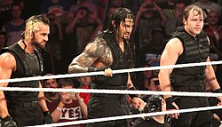 Roman Reigns: World Wrestling Entertainment, Painiliikkeet, Mestaruudet