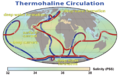 Thermohaline Circulation 2.png