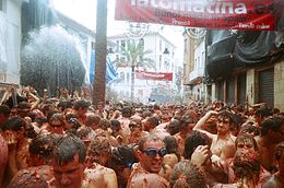 Tomatina 2006.jpg