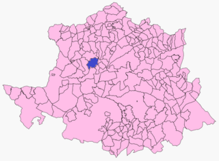 <span class="mw-page-title-main">Torrejoncillo</span> Municipality in Extremadura, Spain