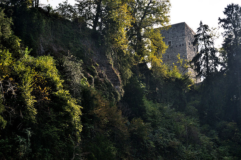 File:Tostnerburg im Herbst.jpg