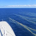 Image 26Trichodesmium bloom off the Great Barrier Reef (from Environmental threats to the Great Barrier Reef)