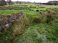 Canal do Ulster em Killyneill - geograph.org.uk - 673300.jpg