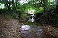 Río Viella, afluente del Esva en San Pedro de Paredes, Valdés